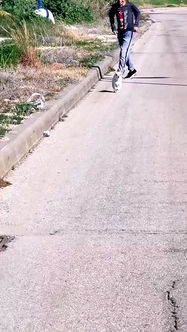 tinapavlov.sky archive video preview