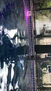 mai_glazer Altpins Profile Picture