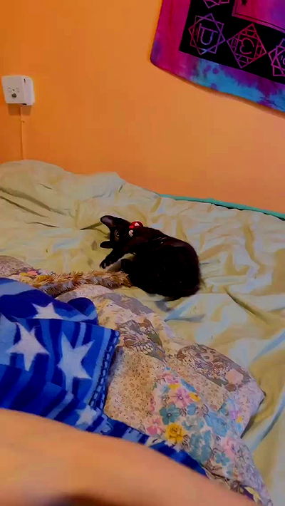 feelbetterinmysweater feelbetterinmysweater archive video