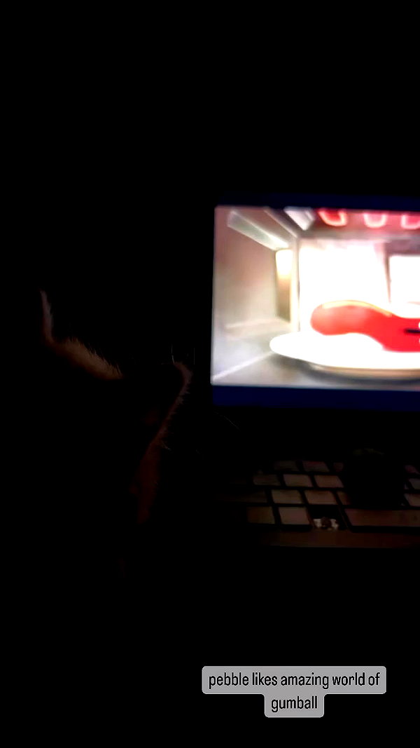 magg0tfleshh archive video preview