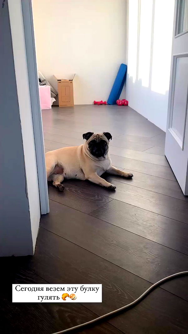 nyityam archive video preview