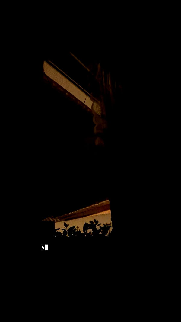 moonliliaght archive video preview