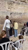 diana_polin Altpins Profile Picture