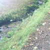 daisystorey_x Altpins Profile Picture