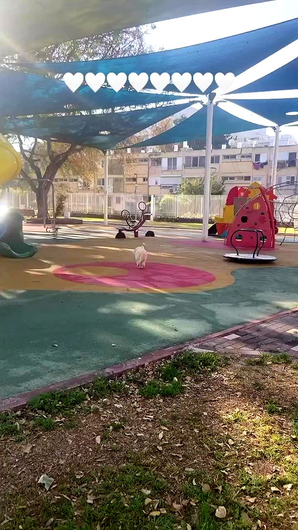 feelbetterinmysweater archive video preview