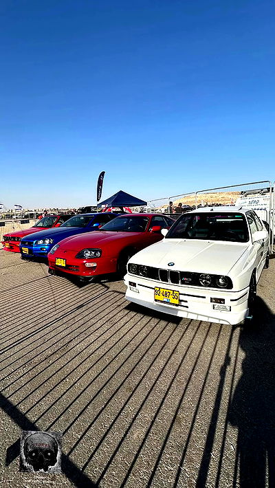 simp_for_cats_ simp_for_cats_ archive video