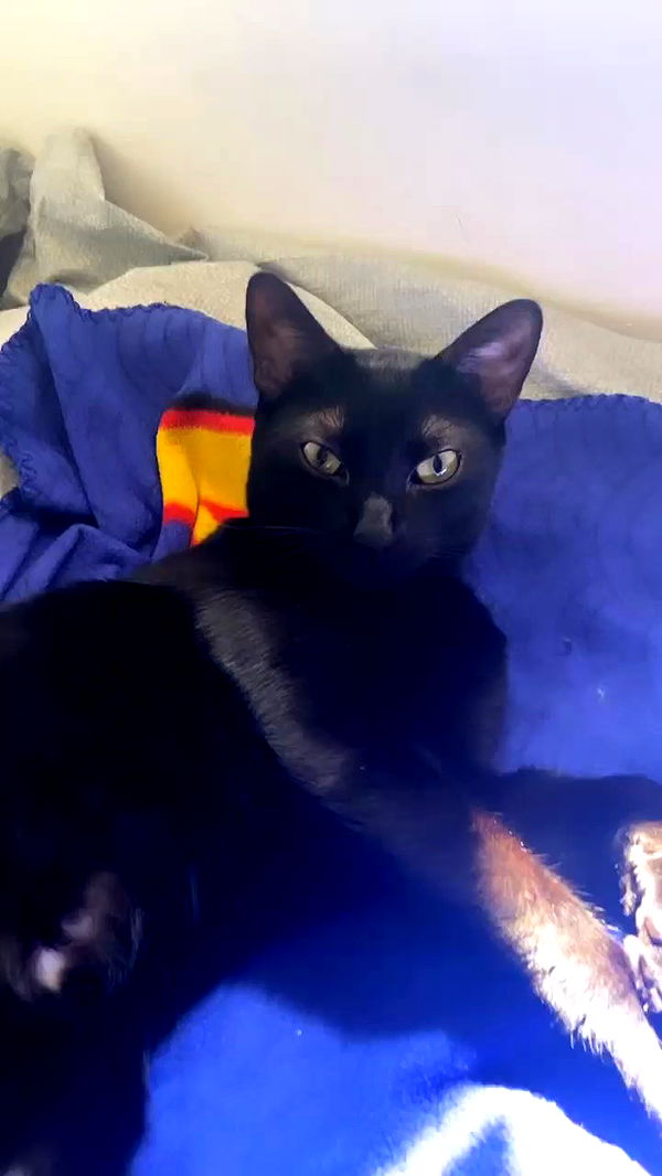 feelbetterinmysweater archive video preview