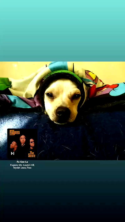 pinchchicken pinchchicken archive video