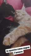 calyen Altpins Profile Picture