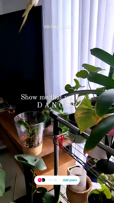 tinapavlov.sky tinapavlov.sky archive video