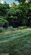 _mashachka_ Altpins Profile Picture