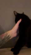 calyen Altpins Profile Picture