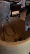 gali_azuolay Altpins Profile Picture