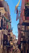 noa_mendel_ Altpins Profile Picture