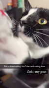 1kyle8_ Altpins Profile Picture