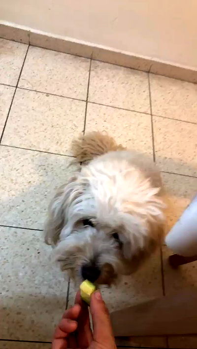 feelbetterinmysweater feelbetterinmysweater archive video