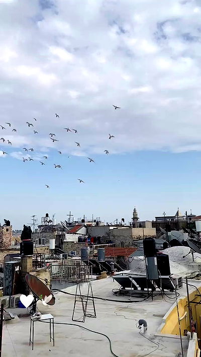 _femalien _femalien archive video