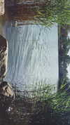 calyen Altpins Profile Picture