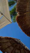 shavgulidzenatt Altpins Profile Picture