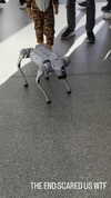 candy_balll Altpins Profile Picture