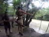 yaheli_idan Altpins Profile Picture