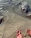 yaheli_idan Altpins Profile Picture