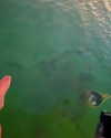 yaheli_idan Altpins Profile Picture