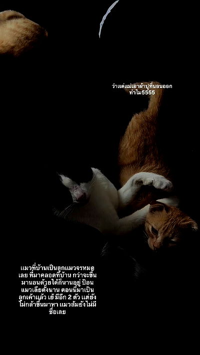 oqr0_ oqr0_ archive video