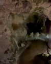 yaheli_idan Altpins Profile Picture