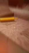 courtney2love Altpins Profile Picture