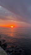 eli_natan_ Altpins Profile Picture