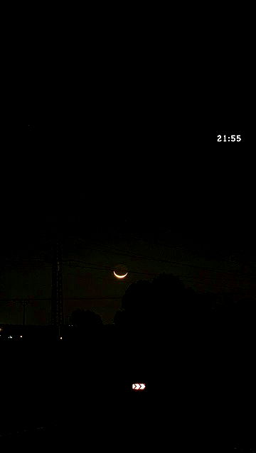 rebecka_tsadok rebecka_tsadok archive video