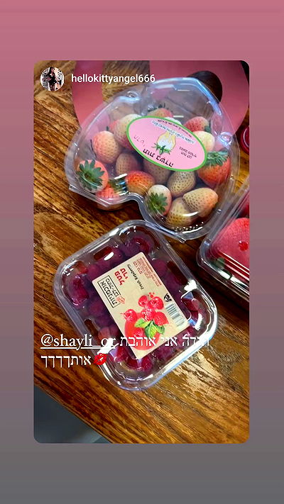 shayli_or shayli_or archive video