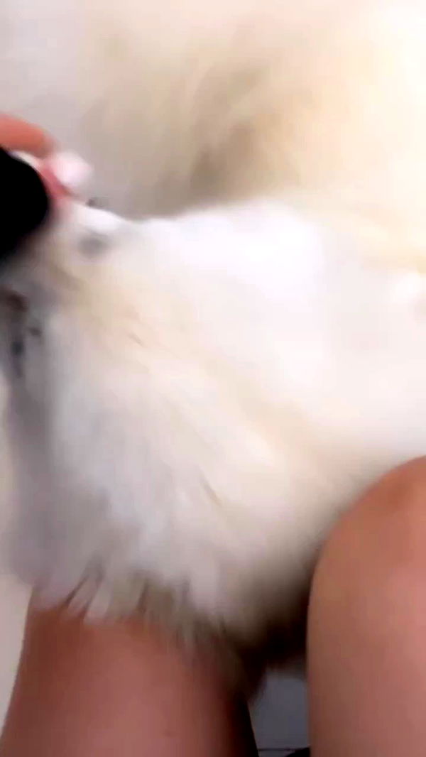 eliya.ho archive video preview