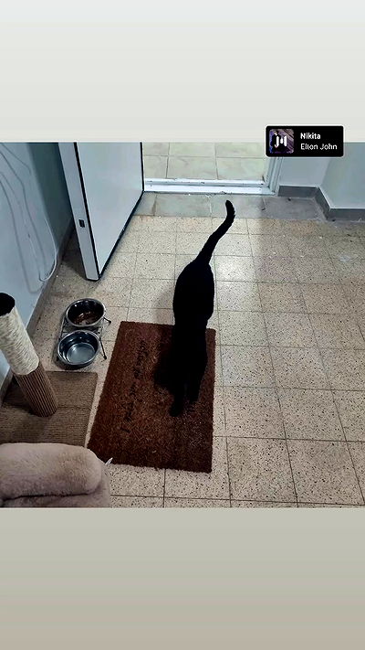 shayli_or shayli_or archive video