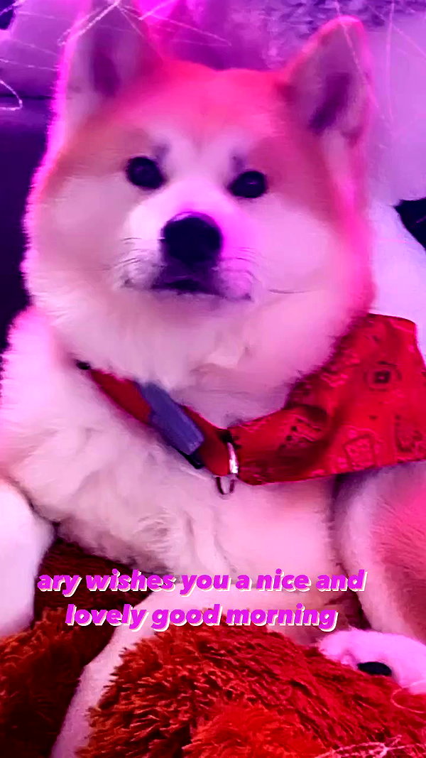 aryssa614 archive video preview