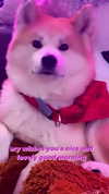 aryssa614 Altpins Profile Picture