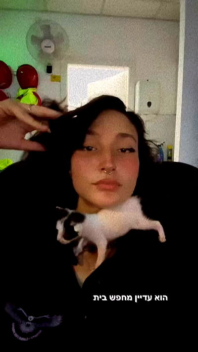 biton__adi biton__adi archive video