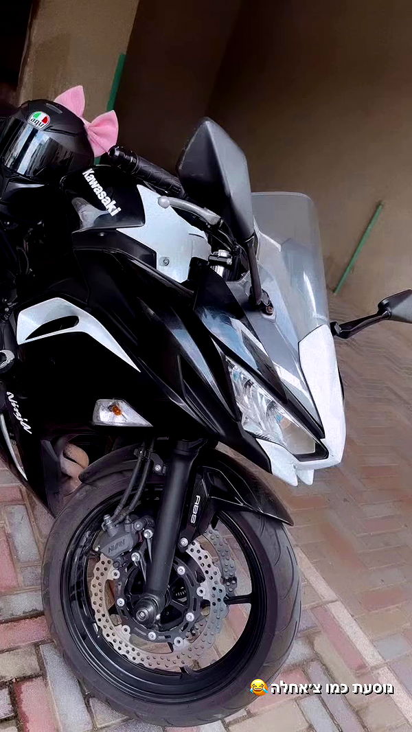 biton__adi archive video preview