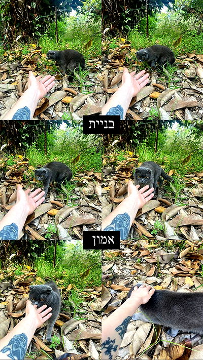 feelbetterinmysweater feelbetterinmysweater archive video