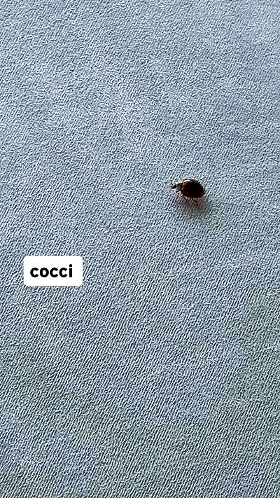 kasumi_sen kasumi_sen archive video