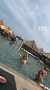 rozhinsafffar Altpins Profile Picture