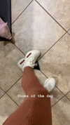 jailyneojeda Altpins Profile Picture