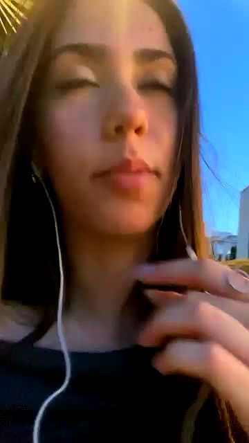 tuliprivet tuliprivet archive video