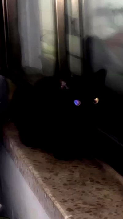 feelbetterinmysweater feelbetterinmysweater archive video