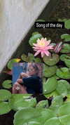 zz.eazoning Altpins Profile Picture