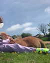 callieebullough Altpins Profile Picture
