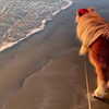 callieebullough Altpins Profile Picture
