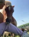 callieebullough Altpins Profile Picture