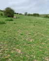 callieebullough Altpins Profile Picture